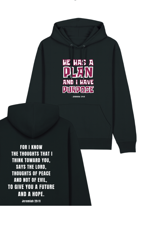 Jeremiah 29:11  Premium Hoodie